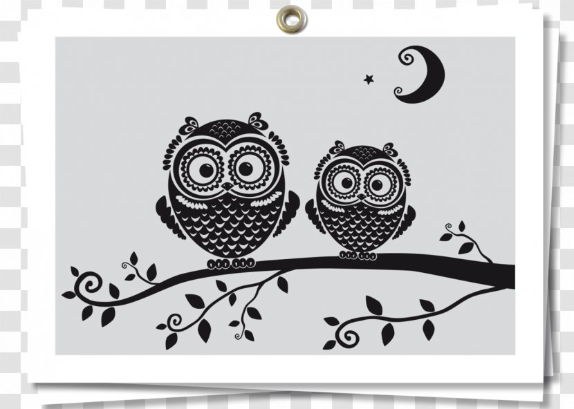 Owl Drawing Black And White - Owls Transparent PNG