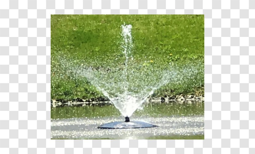 Water Resources Lawn Fountain Transparent PNG