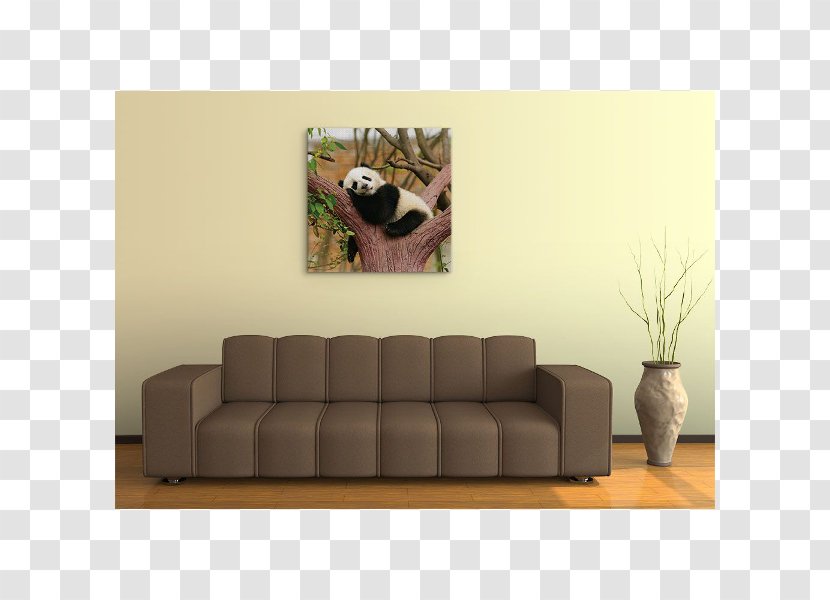 Wall Decal Couch Sofa Bed Photography - Royalty Payment - Jol Transparent PNG