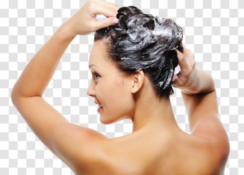 Shampoo Hair Care Washing Conditioner - Forehead - Caring Transparent PNG