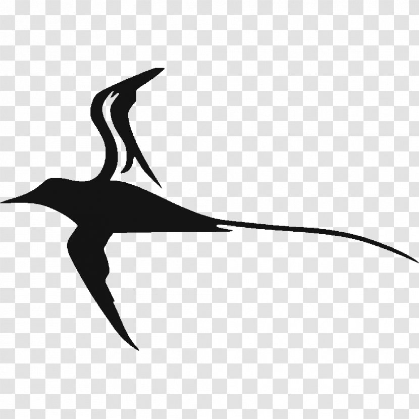 Sticker Decal Tropicbirds Logo - Vertebrate - Stickers Label Transparent PNG