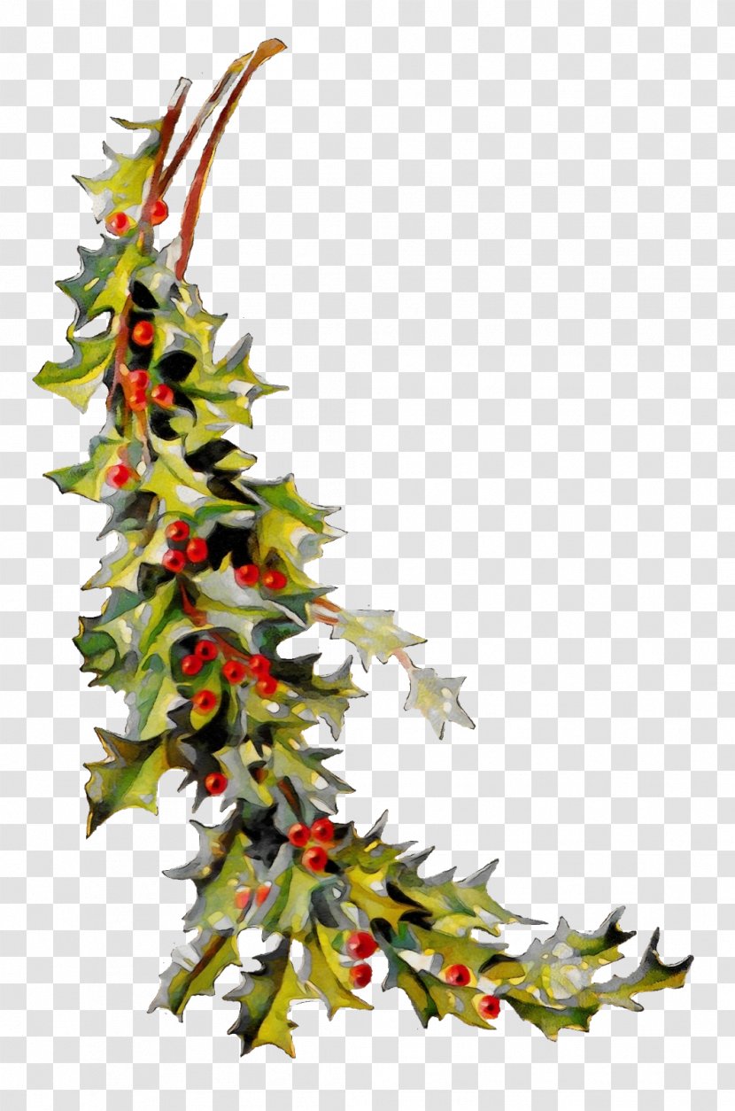 Christmas Tree Silhouette - Twig Branch Transparent PNG