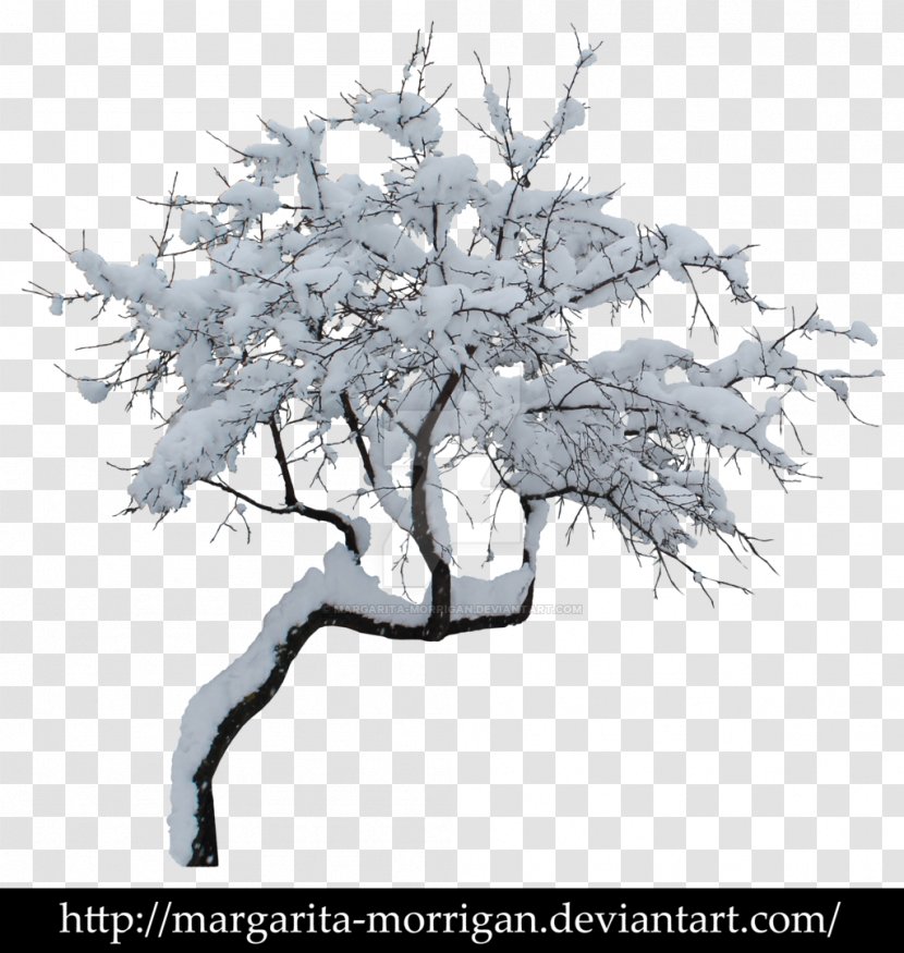 Tree Winter Branch Clip Art - Black And White - Snow Transparent PNG