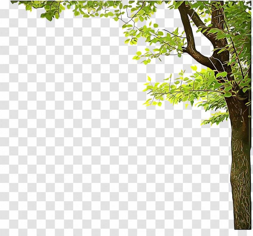 Borders And Frames Tree Transparency Branch Bud - Trunk - Twig Transparent PNG