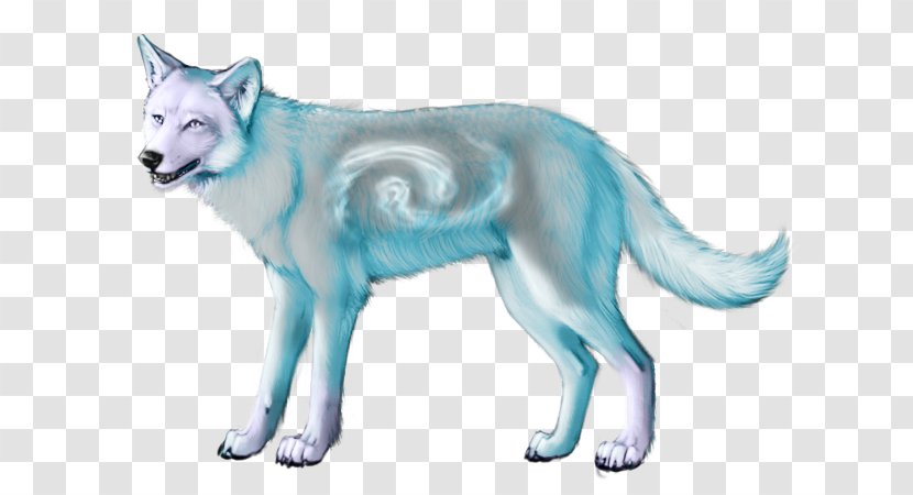 Alaskan Tundra Wolf Drawing Animal SITVA Gray - Art Transparent PNG