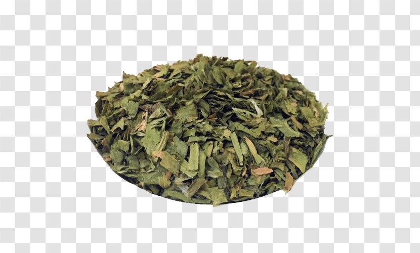 Nilgiri Tea Sencha Herb Plant - Darjeeling - Especiarias Transparent PNG