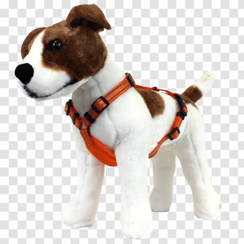 Jack Russell Terrier Dog Breed Harness Puppy Companion - Collar Transparent PNG