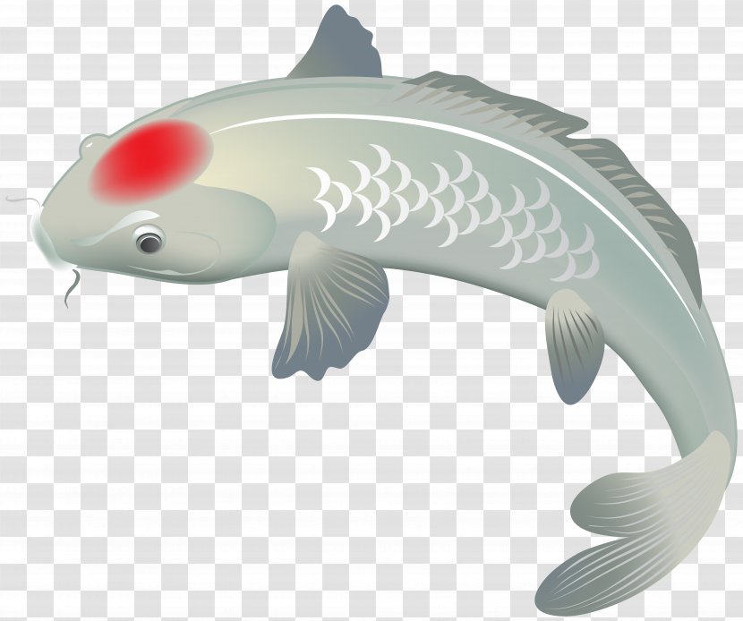 Image File Formats Lossless Compression - Koi - White Fish Clip Art Transparent PNG