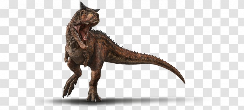 Carnotaurus Jurassic Park Builder World Evolution Mosasaurus Dinosaur - Silhouette Transparent PNG