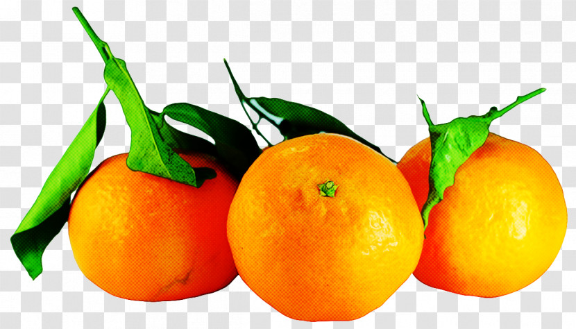 Orange Transparent PNG