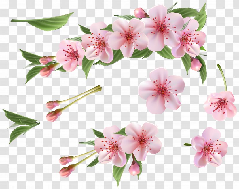 Branch Clip Art - Flower Arranging - Spring Pink Elements Clipart Transparent PNG