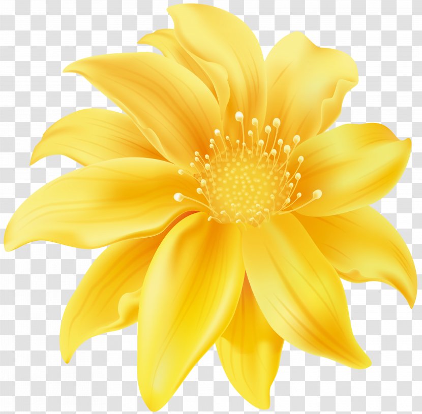 Flower Yellow Desktop Wallpaper Clip Art - Cut Flowers Transparent PNG