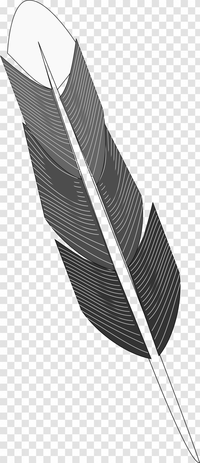 Bird Feather Drawing - Black And White Transparent PNG