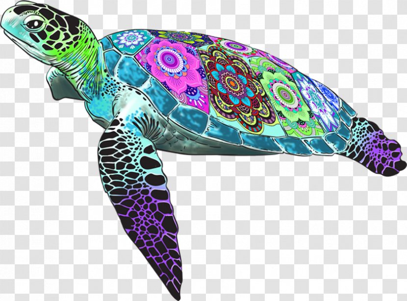 Loggerhead Sea Turtle Blob Farley A Grand Quest Binary Large Object - Fancy Fish Transparent PNG