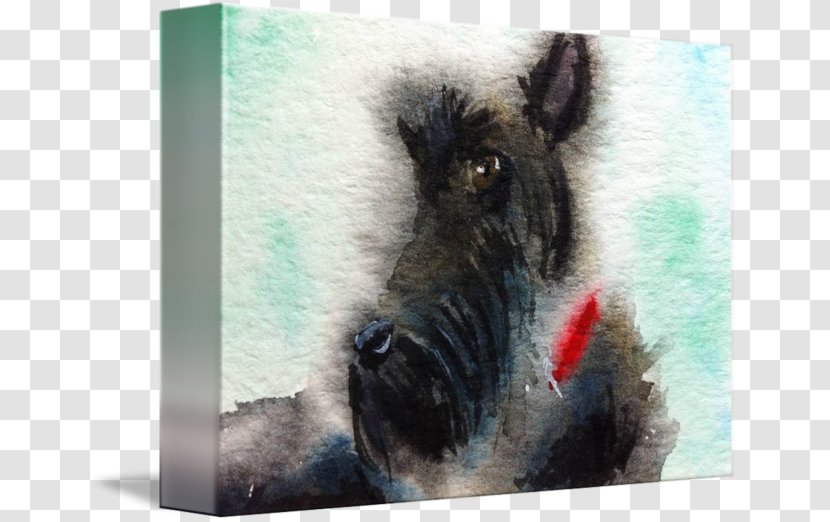 Scottish Terrier Wild Boar Dog Breed Transparent PNG