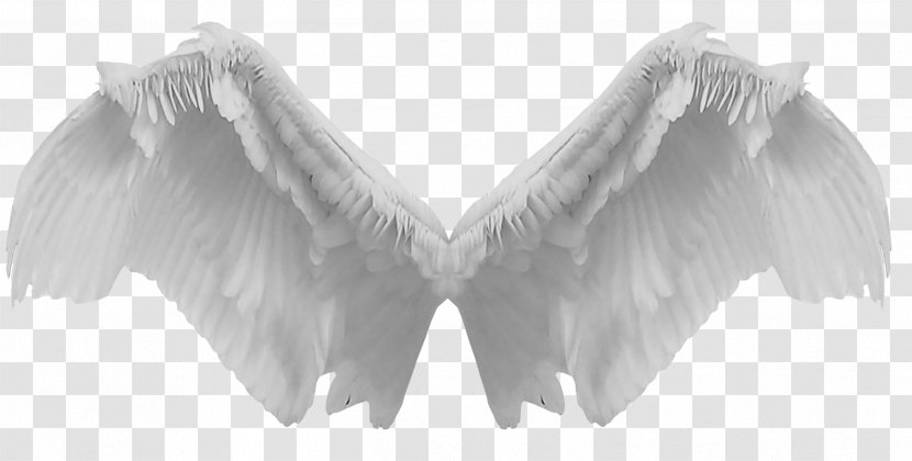 DeviantArt Monochrome Photography - Neck - Wings Transparent PNG