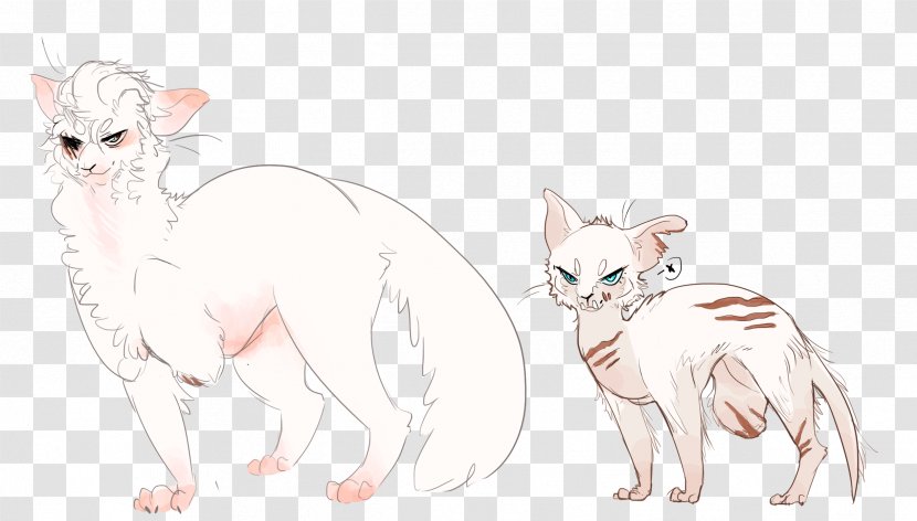 Whiskers Cat Dog Canidae Sketch Transparent PNG
