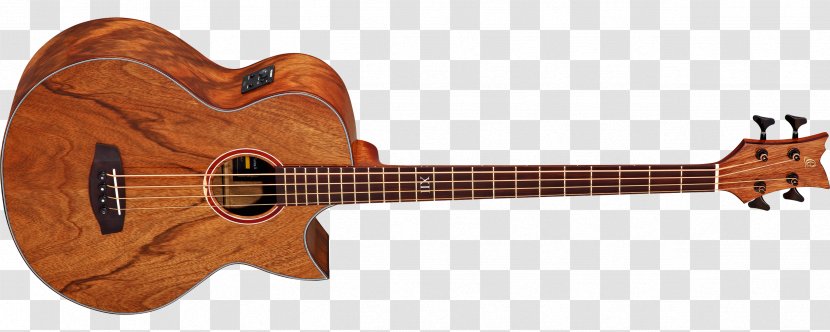 Fender Precision Bass Acoustic Guitar Musical Instruments - Flower Transparent PNG