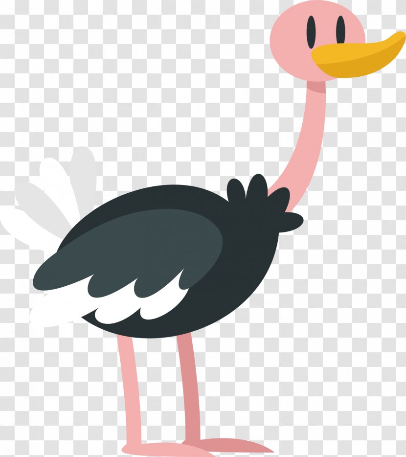 Common Ostrich Cartoon - Vector Transparent PNG