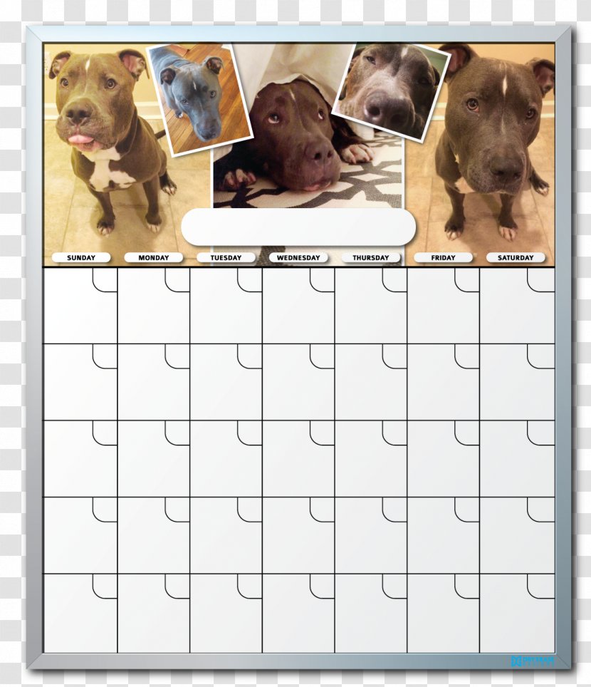 Dog Breed Dry-Erase Boards Calendar Puppy - Engagement Transparent PNG