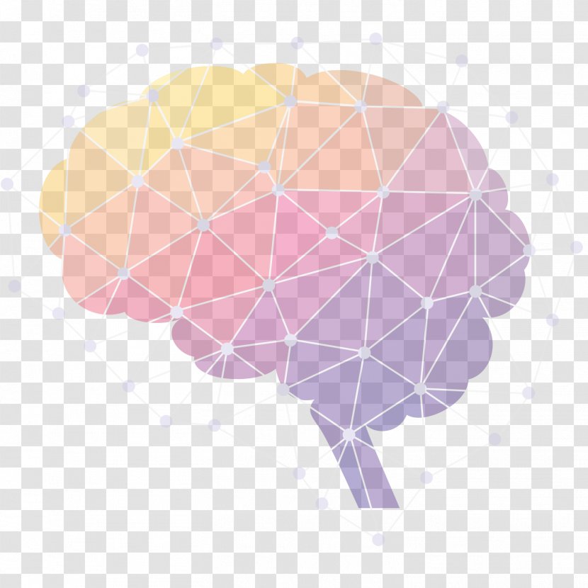 Human Brain Neuroscience Infographic - Neuroanatomy - Scientists Transparent PNG