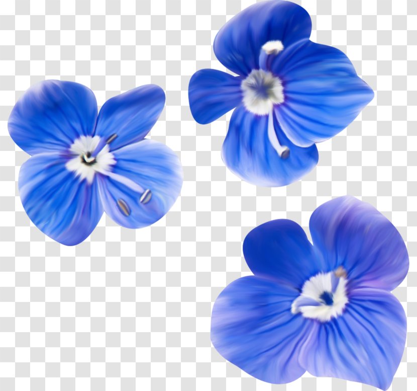 Blue Download - Purple - Flores Azuis Transparent PNG