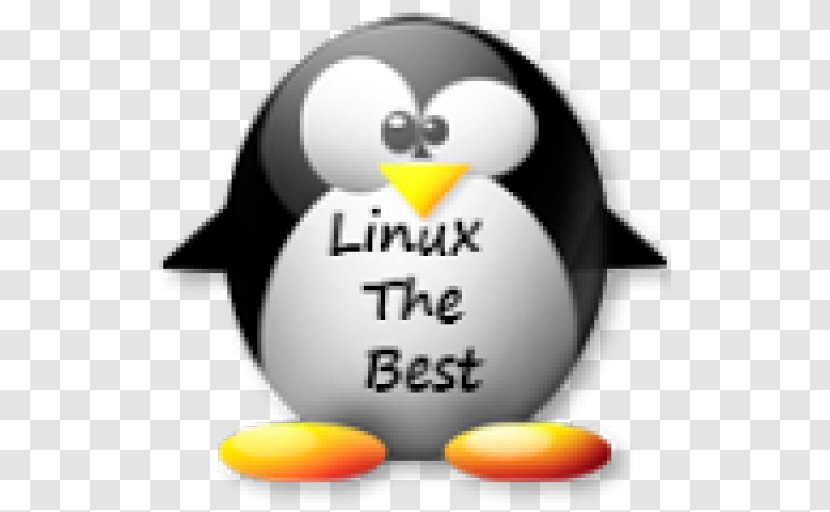 Algorithm Google Penguin H5P Panda - Search Engine Optimization Transparent PNG