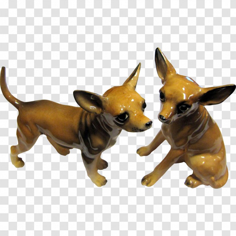 Chihuahua Dog Breed Toy Salt Snout - Tail Transparent PNG