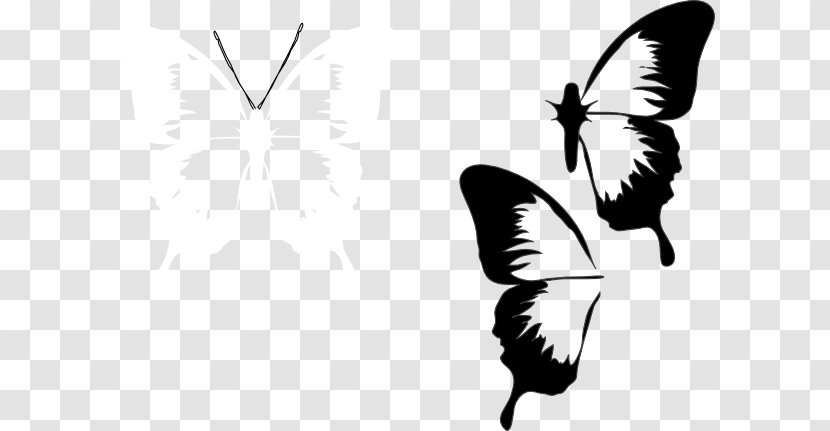 Butterfly Insect Clip Art Drawing Image - Wing Transparent PNG