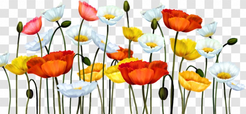 Flower Blog Recipe Clip Art - Author Transparent PNG