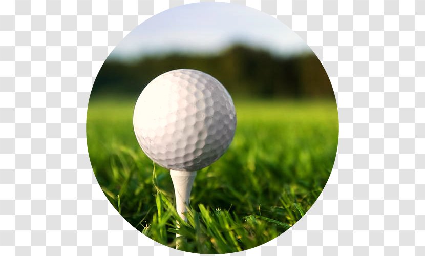 Golf Balls Tees Course - Stock Photography - Club Transparent PNG