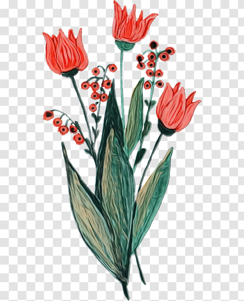 Plant Stem Cut Flowers Tulip Flowerpot Petal Transparent PNG
