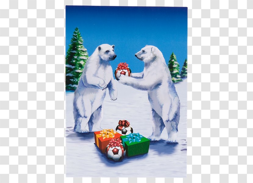 Polar Bear 09738 - Carnivoran - Birthday Card Transparent PNG