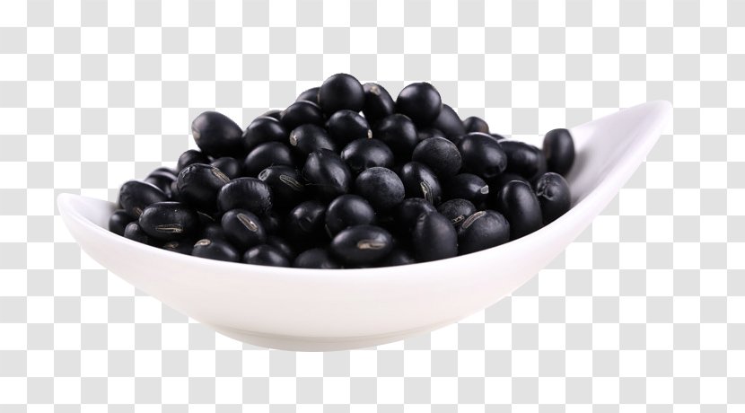 Black Turtle Bean - Blueberry - Northeast Characteristics Of Beans Material Transparent PNG