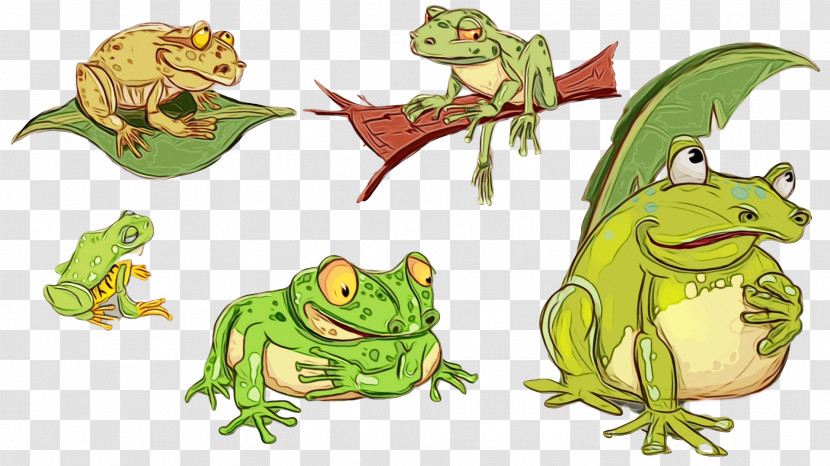 Toad True Frog Reptiles Tree Frog Frogs Transparent PNG