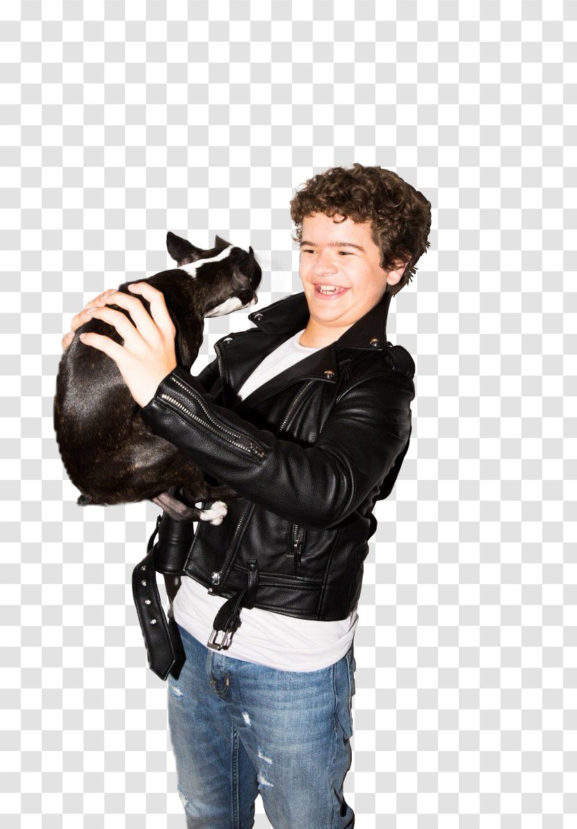 Stranger Things Eleven Photography - Season 2 - Gaten Matarazzo Transparent PNG