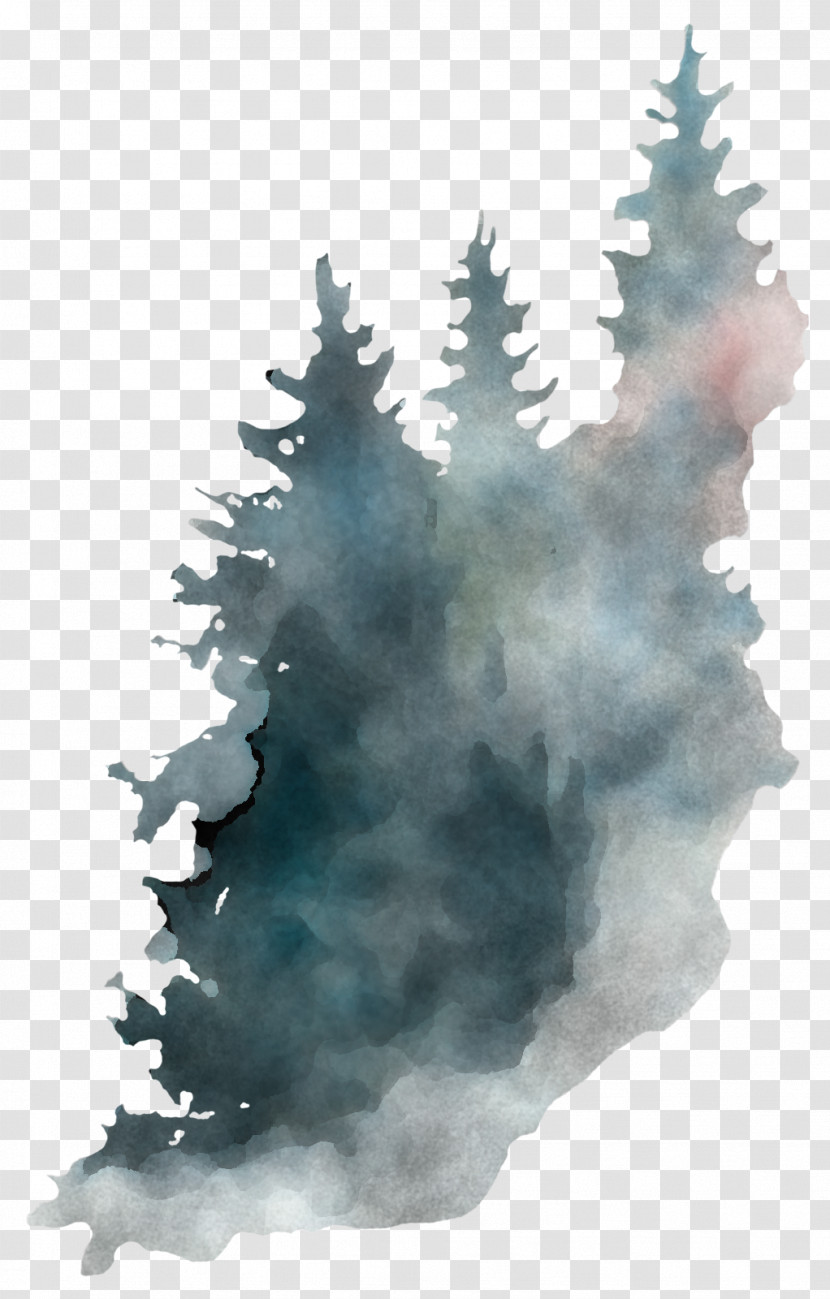 Tree Atmospheric Phenomenon Sky Colorado Spruce Pine Family Transparent PNG