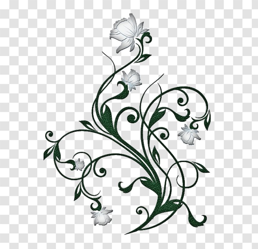 Floral Design Flower Rose Clip Art - Drawing Transparent PNG