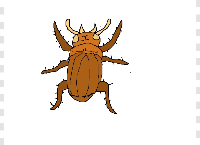 Cockroach Insect Clip Art - Food Animations Transparent PNG