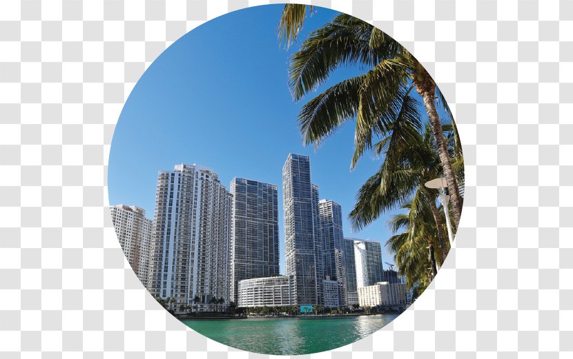 Miami International Airport South Beach Greater Downtown Skyscanner Car Rental - Skyline Transparent PNG