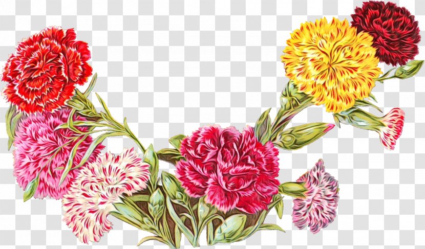 Floral Design - Paint - Pink Family Transparent PNG