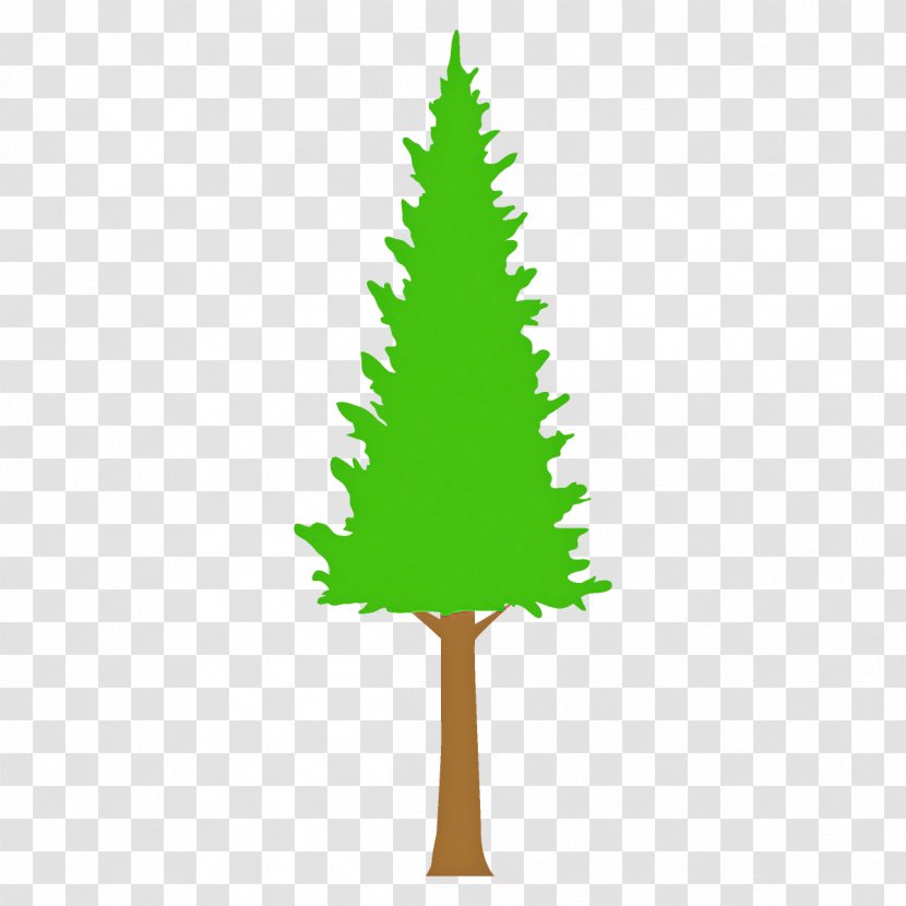 Christmas Tree - American Larch - Leaf Transparent PNG