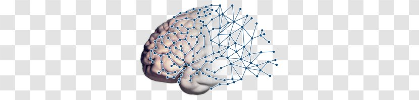 Ahmanson-Lovelace Brain Mapping Center Transcranial Magnetic Stimulation Research - Heart Transparent PNG