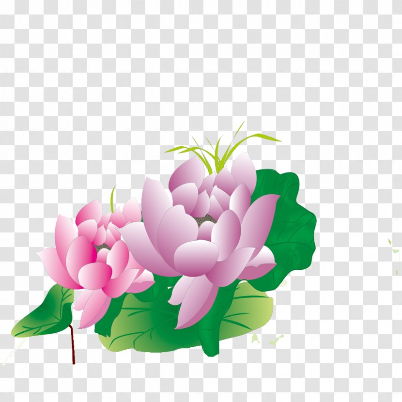 Floral Design Download Computer File - Designer - Lotus FIG. Transparent PNG
