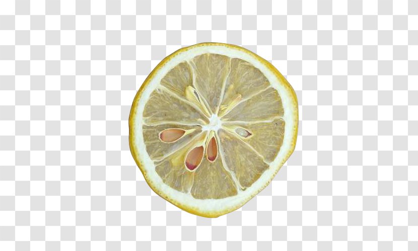 Lemon Download Computer File - Dry Slices Transparent PNG