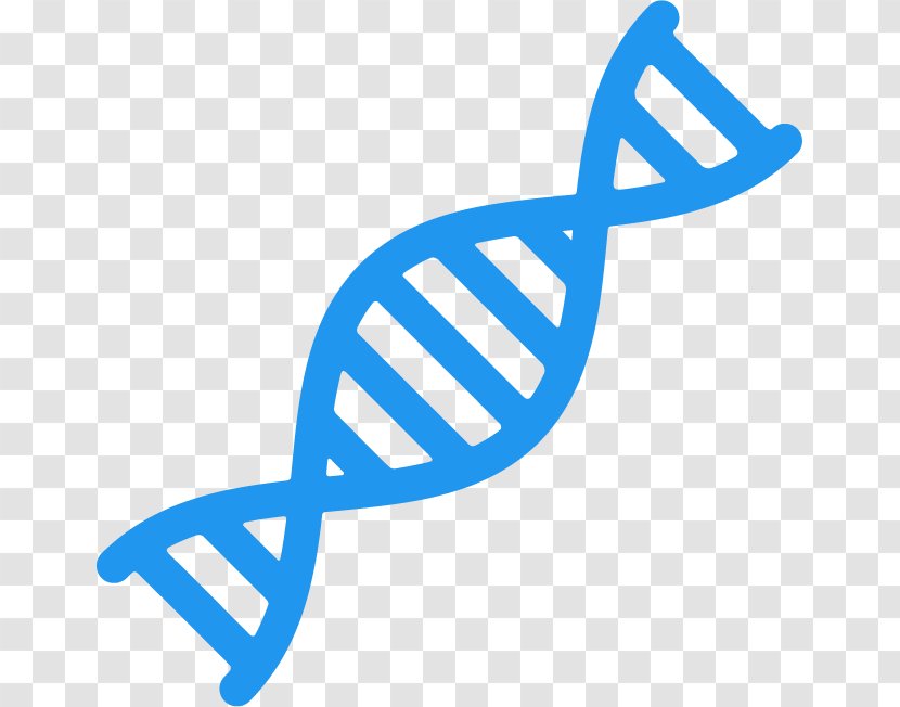 DNA Nucleic Acid Double Helix Genetics - Technology - Dna Genetic Transparent PNG