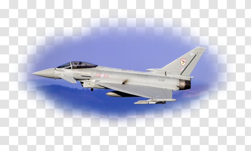 Grumman F 14 Tomcat Chengdu J 10 Eurofighter Typhoon Airplane Aircraft F 14 Transparent Png