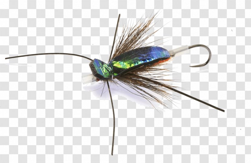 Artificial Fly Fishing Rainbow Trout - Insect Transparent PNG