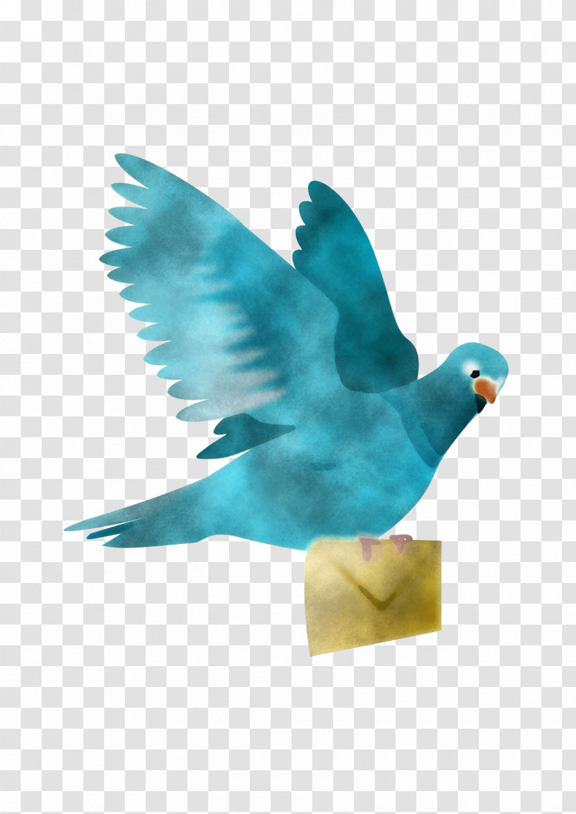 Columbidae Rock Dove Homing Pigeon Birds Stock Dove Transparent PNG