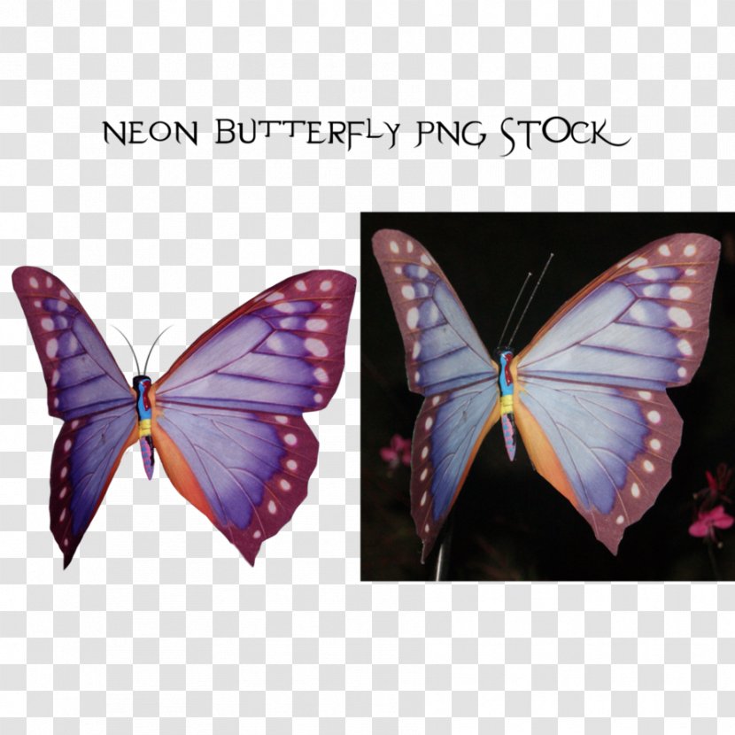 DeviantArt Download Tigger Stock - Wing - Neon Butterfly Transparent PNG